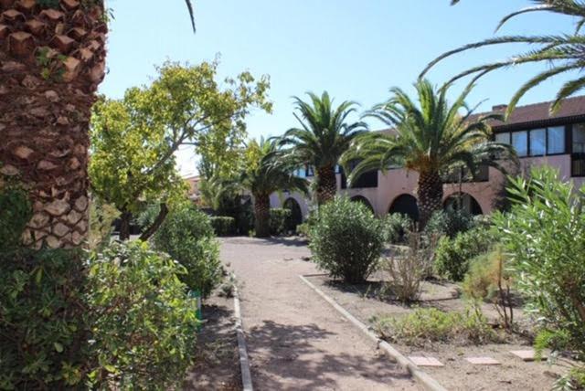 Appartement Saint Cyprien Plage 6 Couchages المظهر الخارجي الصورة